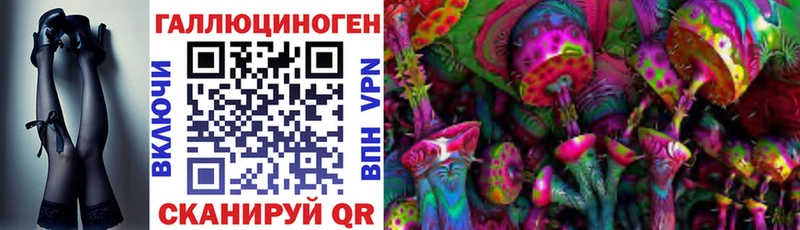 blacksprut ССЫЛКА  Шилка  Галлюциногенные грибы Cubensis 